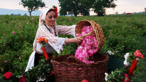 索非亚游记图文-极有可能加入申根国，5月变身玫瑰花海的“粉色王国”——保加利亚