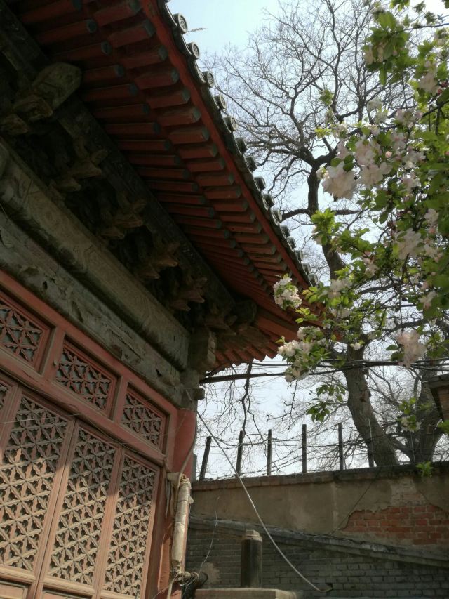 孚王府(不对外开放)旅行图片 15