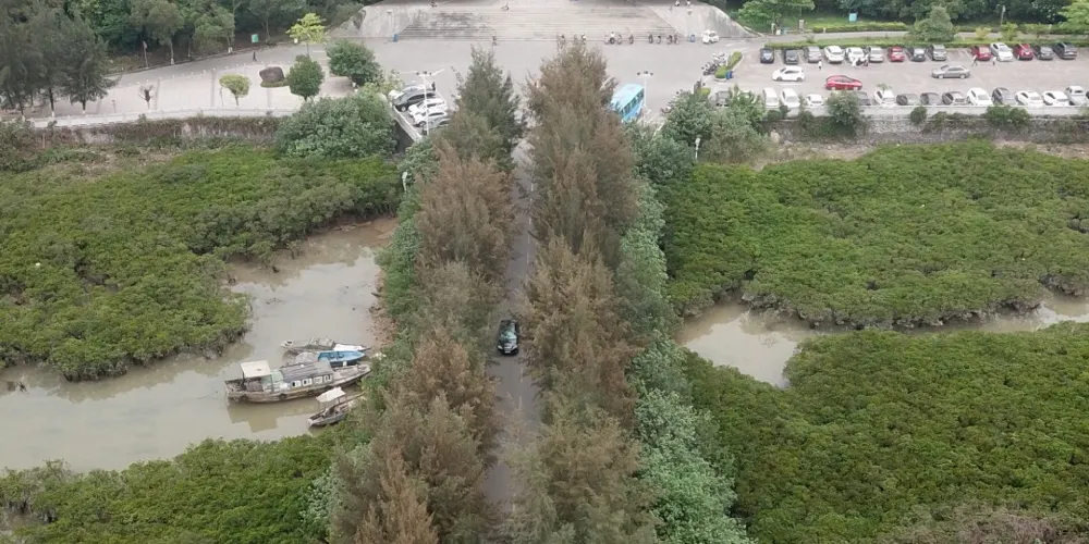 永安旅遊