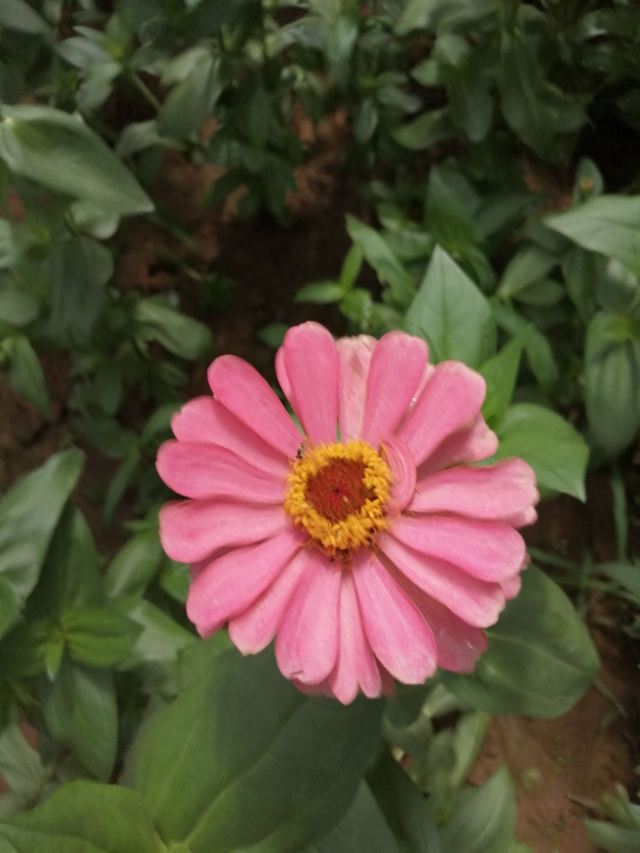 花溪地温泉生态植物乐园(暂停开放)旅行图片 1