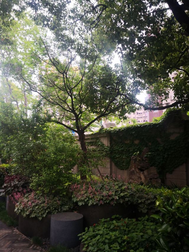 上海总商会旧址旅行图片 2