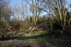 Cole Park-科珀斯克里斯蒂