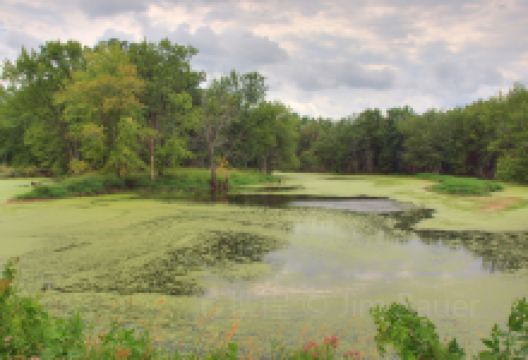 Grandad Bluff景点图片