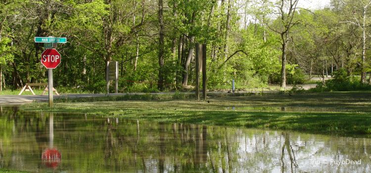 Hueston Woods State Park Travel Guidebook Must Visit Attractions