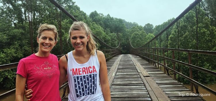 Swinging Bridge Tickets Deals Reviews Family Holidays