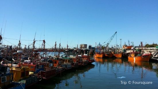 Aquopolis Travel Guidebook Must Visit Attractions In Mar Del