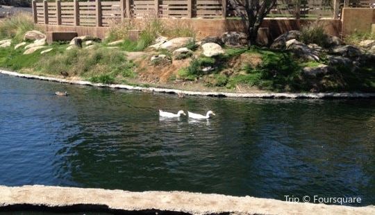 Cerritos Sculpture Garden Travel Guidebook Must Visit Attractions