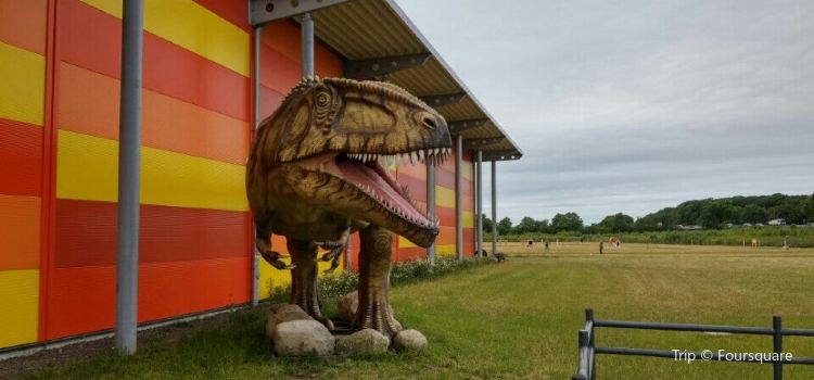 Fehmarn Travel Guides 2020 Fehmarn Attractions Map Ostholstein