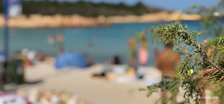 Spiaggia Del Principe Tickets Deals Reviews Family