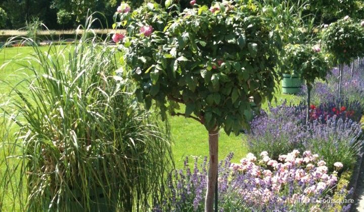 Neuer Garten Travel Guidebook Must Visit Attractions In Potsdam
