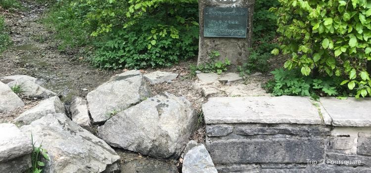 Ruhrquelle Tickets Deals Reviews Family Holidays Trip Com