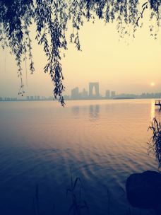 东方之门-苏州-LIUGE