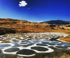 斑点湖-奥索尤斯-在路上的Jorick