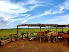 苏泊罕大草原旅游景区-伊金霍洛旗-尘世如潮人如水Zx