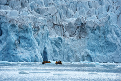 格陵兰游记图片] 斯瓦尔巴、格陵兰、冰岛三岛游之三：旅行漫记