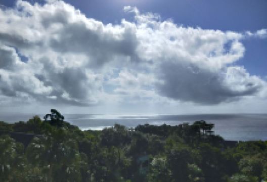 折田汽船フェリー屋久島２宮之浦港切符販売所购物图片