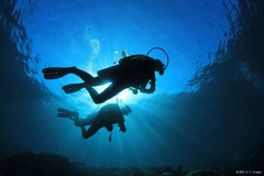塞班岛游记图片] 干货 | 潜水考证，看这一篇就够啦！