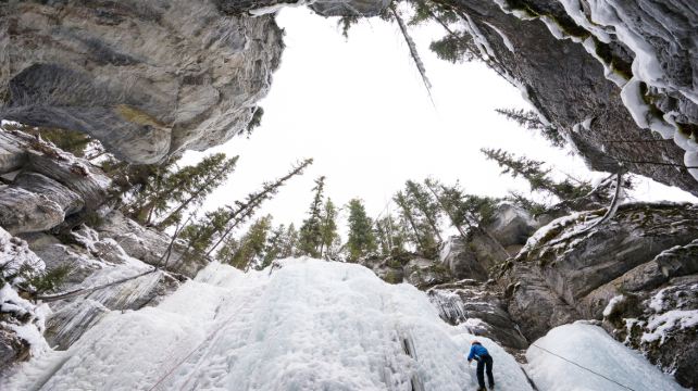 5-Day Calgary Tour·Lake Louise Ski Resort, Yoho, Lake Louise, Johnston Canyon, Banff | Free Airport Transfer