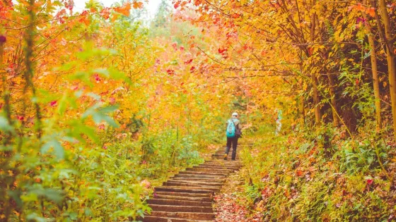 川西紅楓嶺