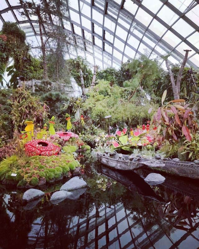 新加坡濱海灣花園