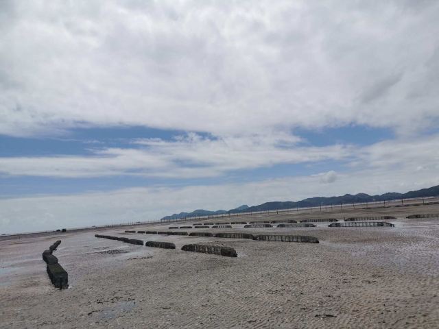 赶海一号旅行图片 1