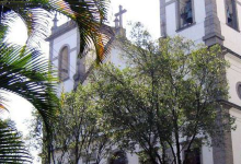Catedral Sao Joao Baptista景点图片