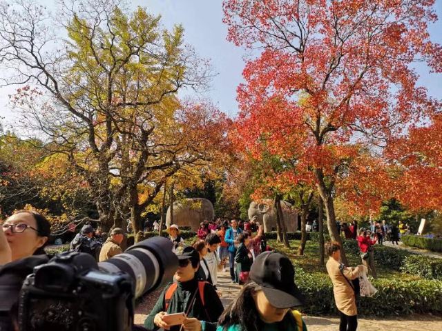明孝陵