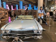 好莱坞星光大道-洛杉矶-Sling玲