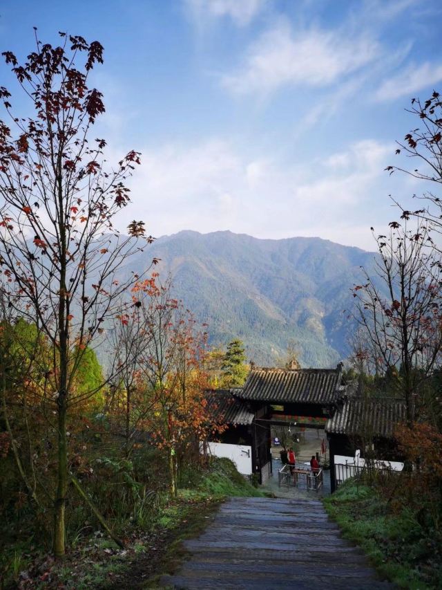 川西红枫岭旅行图片 4