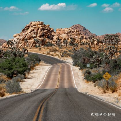 美国洛杉矶+圣地亚哥+加州1号公路+优胜美地国家公园+旧金山28日27晚私家团