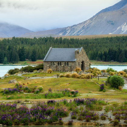 新西兰基督城+特卡波湖+好牧羊人教堂+普卡基湖一日游