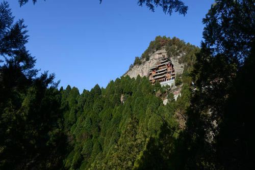 九龙山公园旅行图片 3