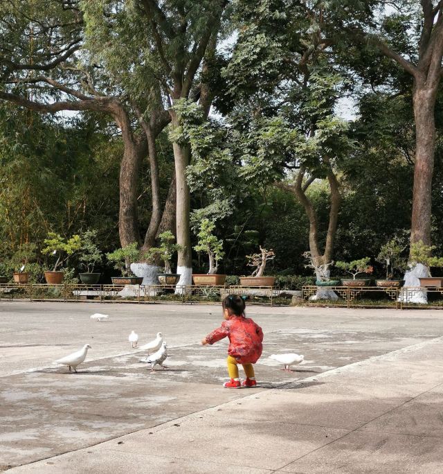 共乐园旅行图片 4