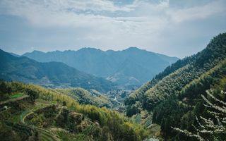 离开喧闹的城市,放下每天快节奏的工作,慢下来去感受恬静的生活