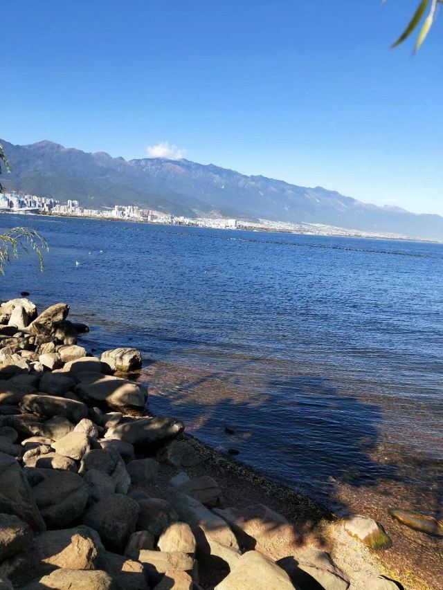 洱海月湿地公园旅行图片 1