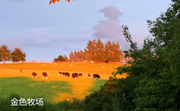 南岛游记图片] 只有云知道——新西兰之行4