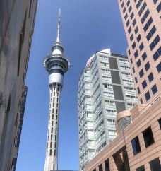 天空塔-奥克兰-sha****anna