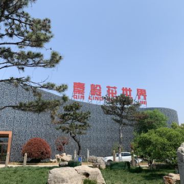 西北长安花卉秦岭花世界