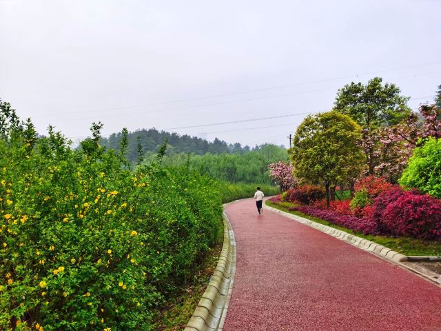 长坡岭国家森林公园旅行图片 8