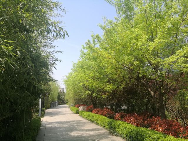 航天城中湖公园旅行图片 3