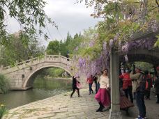 杨浦公园-上海-城中漫步