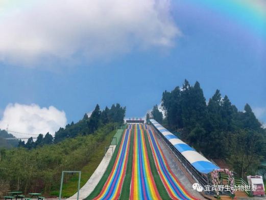 宜宾野生动物世界