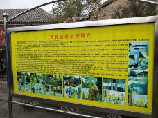 时恩寺-张家口-玩嗨了