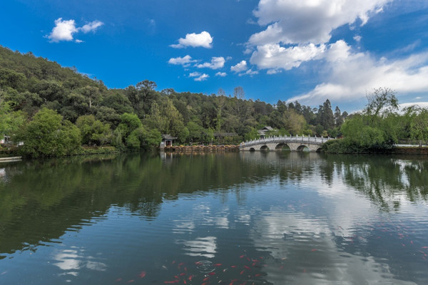 紧咬门票不放的丽江黑龙潭，终于首次免费开放了，它到底有多美？