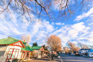 塔斯马尼亚游记图文-去“世界的心脏”之五：做一个有灵魂的网红