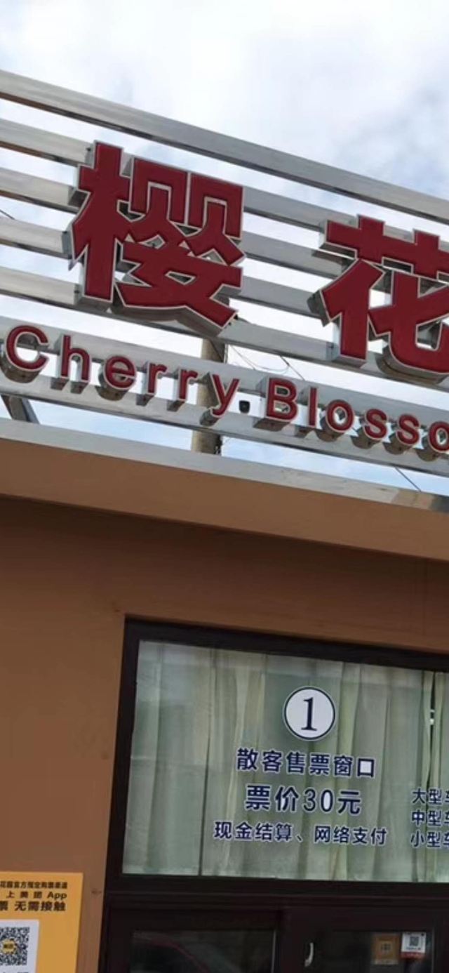 樱花园旅行图片 1
