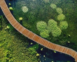 明天！阿坝州这些景区正式开园，这个五一约起来！