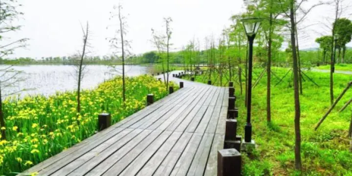 龍靈山生態公園