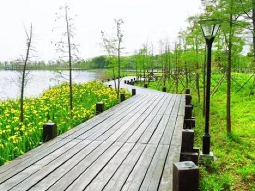 龙灵山生态公园