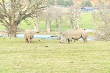 郎利特野生动物园-沃明斯特-尊敬的会员